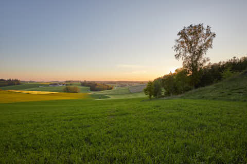 Gemeinde Mitterskirchen Landkreis Rottal-Inn Atzberg (Dirschl Johann) Deutschland PAN